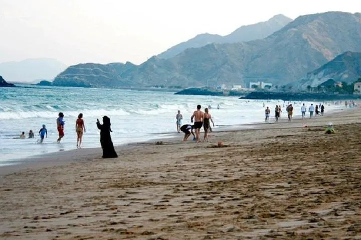 East Coast Tours - Away of Urban (Shore Excursions)