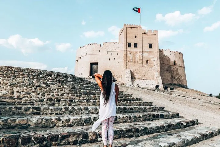 East Coast Tours - Away of Urban (Tours & Sightseeing)