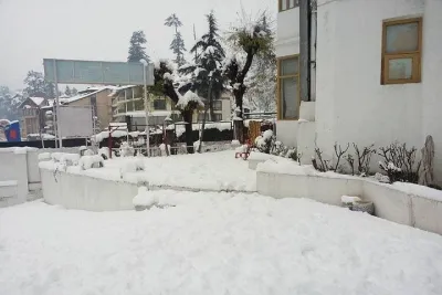 Shimla Manali Tour Package
