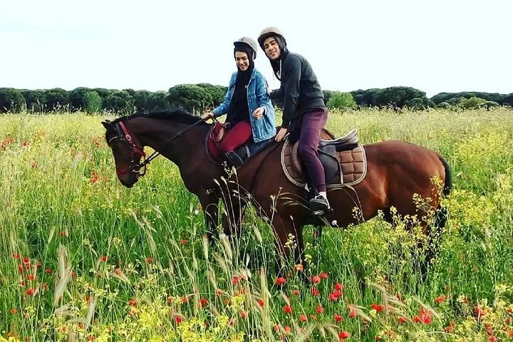 Horse Sanctuary & Trail Ride