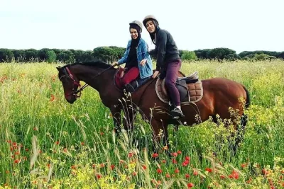 Horse Sanctuary & Trail Ride