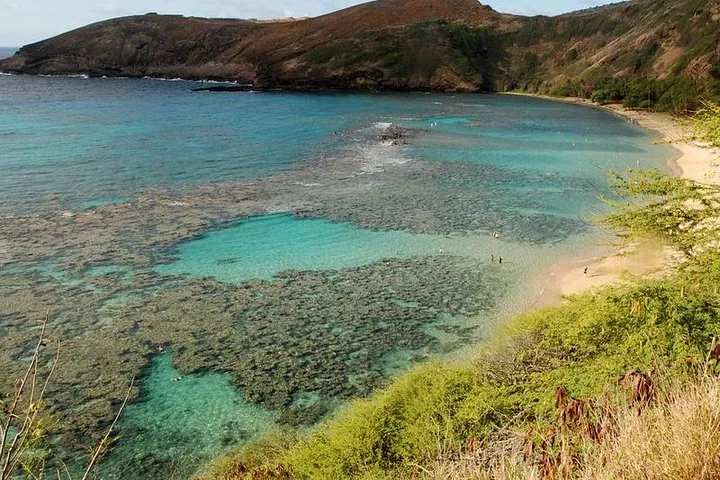 Hanauma Bay Snorkeling from Waikiki