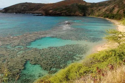 Hanauma Bay Snorkeling from Waikiki