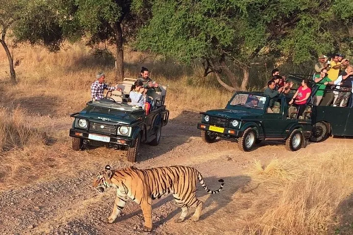 7-Day Golden Triangle & Ranthambore Tiger Safari from Delhi