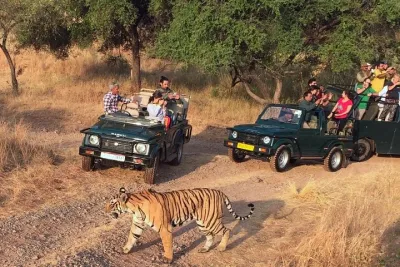 7-Day Golden Triangle & Ranthambore Tiger Safari from Delhi