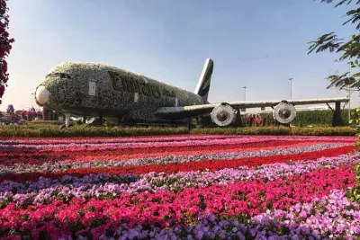Dubai Miracle Garden Ticket with Transfer