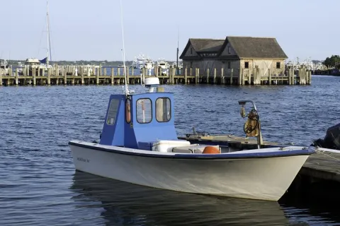 Hamptons Private Day Trip from New York City