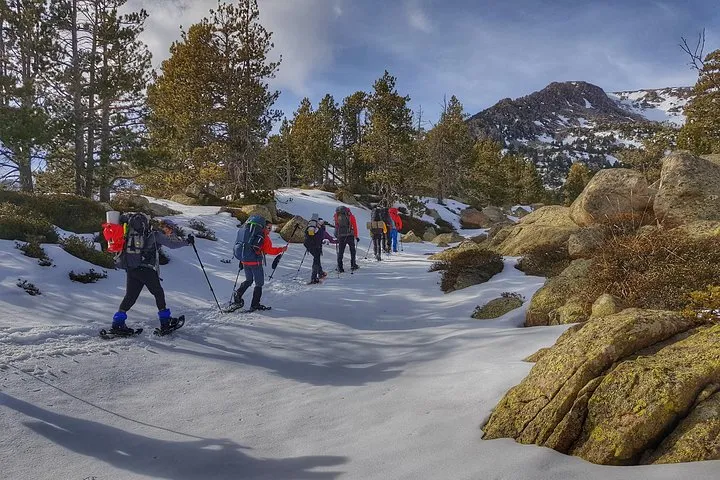 Full Day Pyrenees Snowshoeing Tour