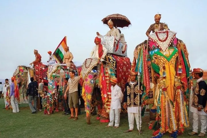 Full-Day Tour Of Jaipur With Guide
