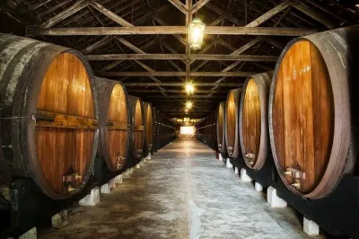 Nature, Wines and Ceramic Tiles: Private Tour