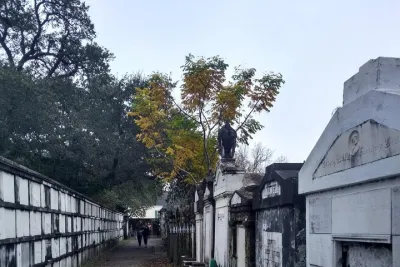 A Local's Garden District Tour
