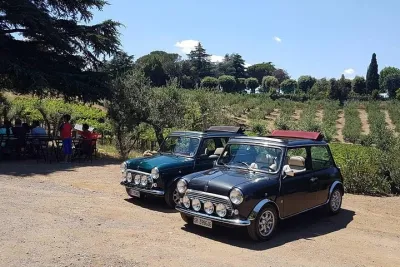Winery Tour in Mini Cooper Classic Cabrio wine testing and lunch