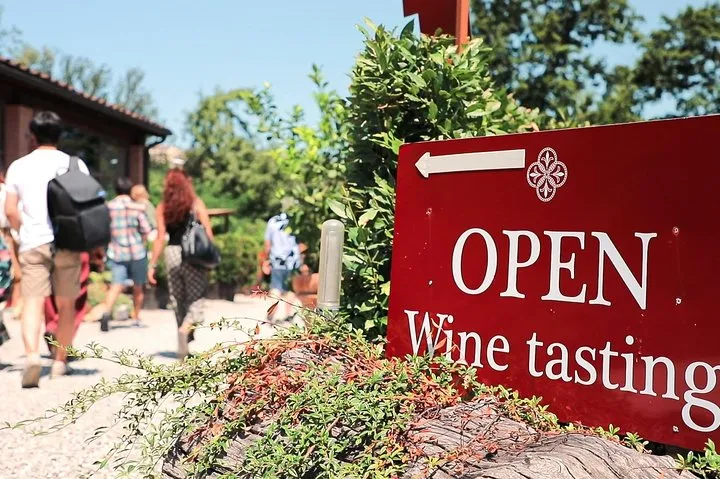 Chianti Wine Tour: Two Wine Tastings, Vineyards and Cellar Visit
