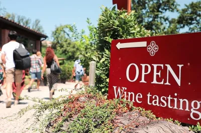 Chianti Wine Tour: Two Wine Tastings, Vineyards and Cellar Visit