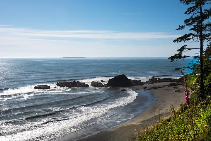 Olympic National Park Day Tour from Seattle