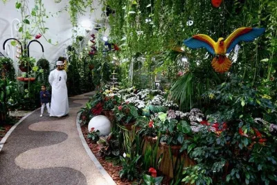 Private Dubai Miracle & Butterfly Garden Tour with transfers