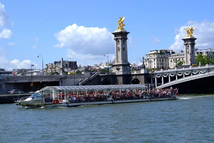 Private Paris city tour & cruise with Minivan