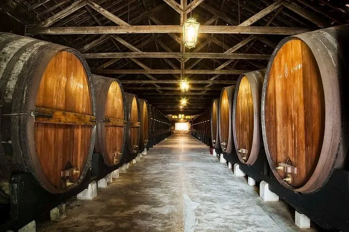 South Portugal Wine Route Private Full Day Tour from Lisbon