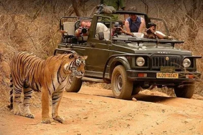 Private Delhi Taj Mahal Agra With Ranthambore Jungle Safari Tour