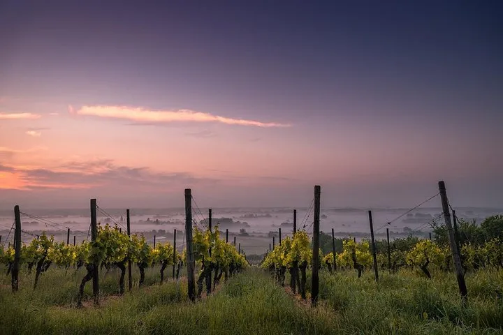 Private Customizable Niagara Winery Tour from Niagara Falls, NY