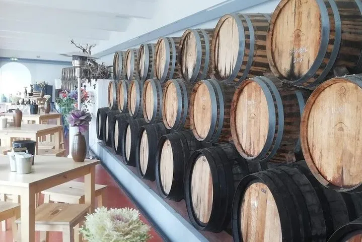 Wine Tour Discover the history and flavors of the best winery's of Lisbon Region