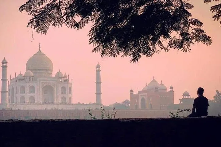 Taj Mahal Private Day Trip With Agra Fort & Itmad-ud-Daulah From Delhi