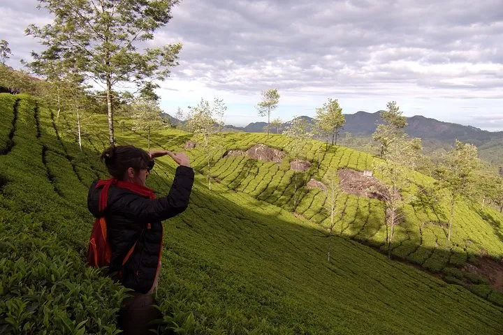 Half day trekking (munnar valley Trekking & Tours )