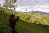 Half day trekking (munnar valley Trekking & Tours )