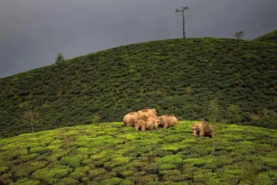 Adventurous Valparai trip from Kochi - 2 days trip
