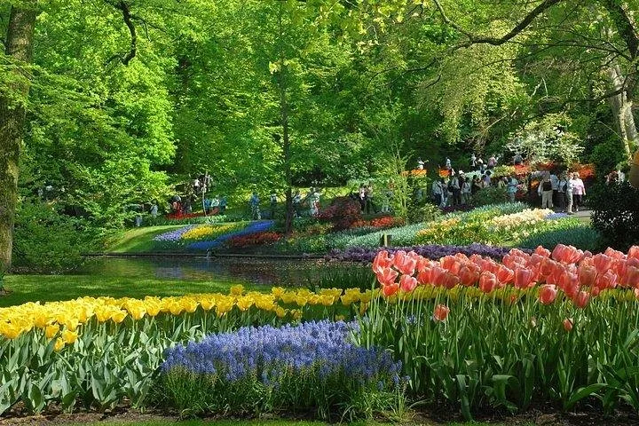 Private Day Trip to the Keukenhof Gardens and Giethoorn