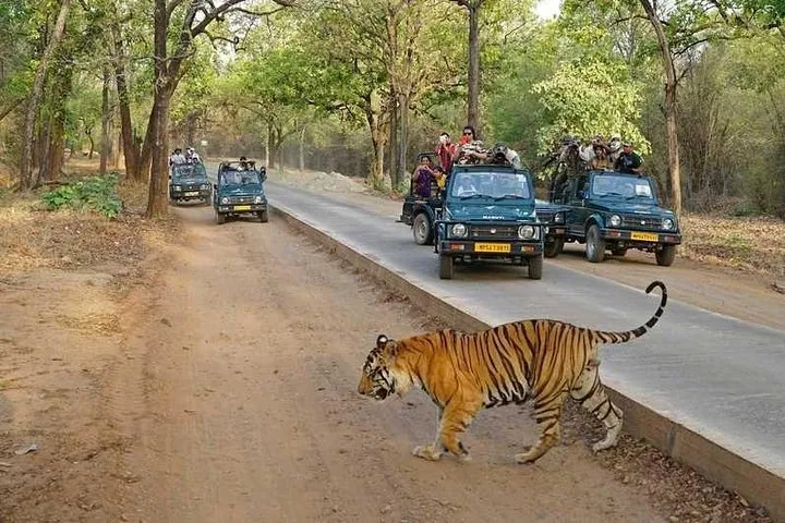 Delhi Agra Jaipur 5 Days Golden Triangle Tour With Ranthambore