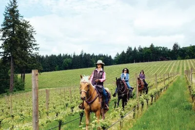 Horseback Ridings and Wine Tastings in a Winery of San Gimignano