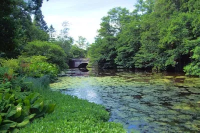 Country Garden Independent Half Day Private Tour