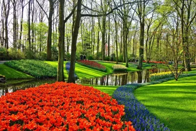 Keukenhof & Zaanse Schans: Private Tour From Amsterdam