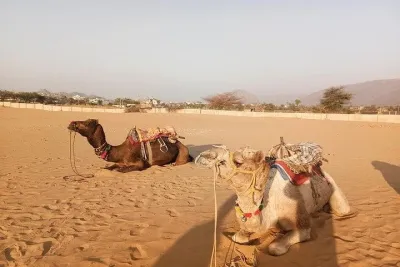 9-Day Private Safari Tour of Rajasthan Sum and Khuri Desert