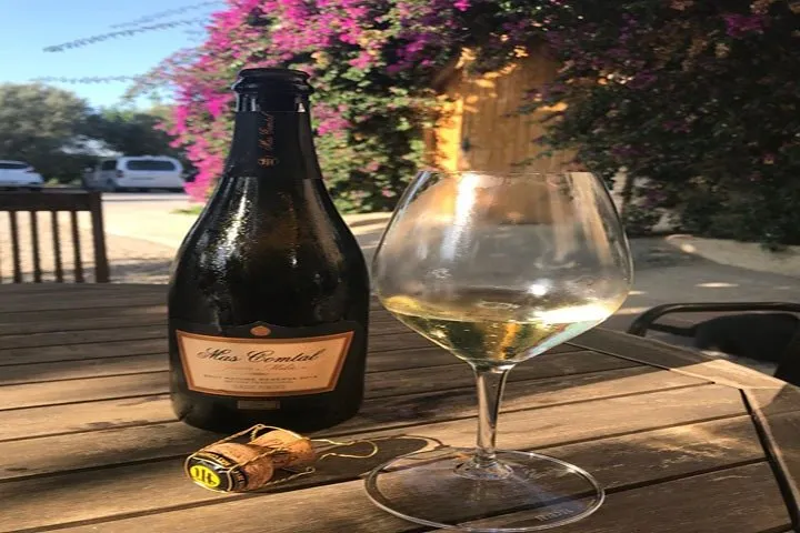 Private tours of Sitges + Wineries in Penedés