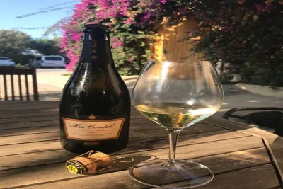 Private tours of Sitges + Wineries in Penedés