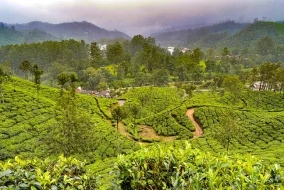 Scenic Kerala : Hills, Wildlife, Backwaters & Beach Bliss- 7 Days