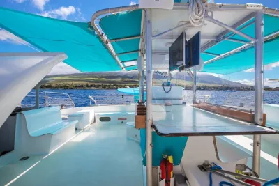 Maui: Whale Watching Cruise with Open Bar from Ka'anapali Beach