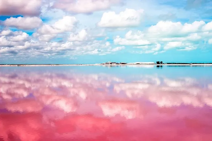 Las Coloradas Exploring Tour