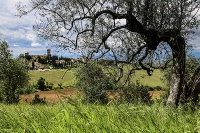 The Best of Chianti Classico E-bike tour