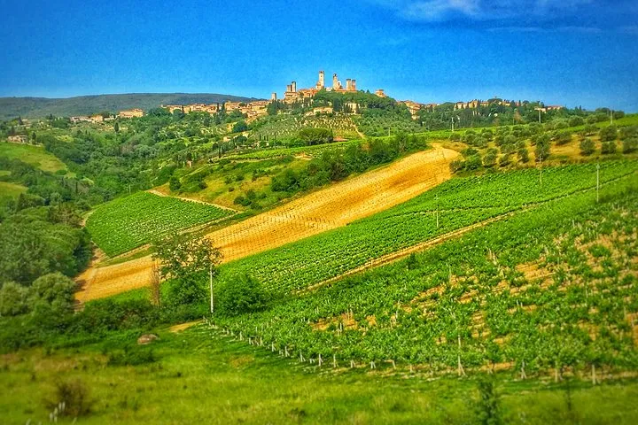 Chianti to San Gimignano Bike Tour