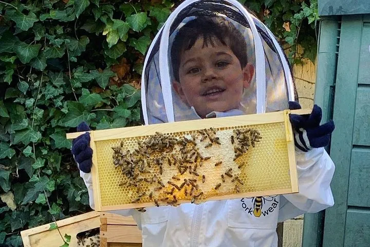 Discover active beehives in London