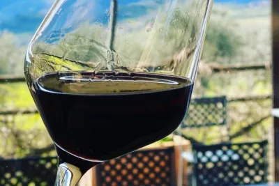 Exclusive Private Tuscany Wine Tour & Food Pairing Session