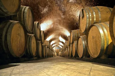 Chianti & Supertuscan Tour 2 Wineries Small Group 8 people max from Florence