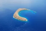 Maui: Molokini & Turtle Town Snorkel & Waterslide Adventure
