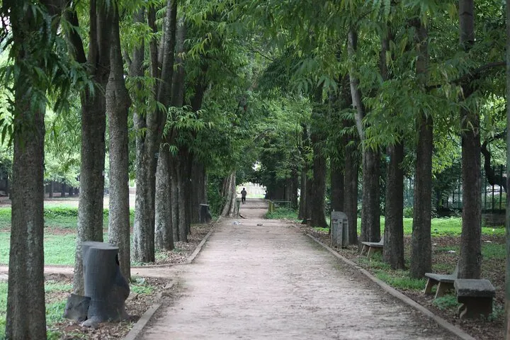 Cubbon Park Heritage Walk: A self-guided tour of Bangalore's unique history