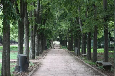 Cubbon Park Heritage Walk: A self-guided tour of Bangalore's unique history