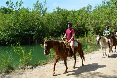 Stroll the Jungle Trails on our Horseback Riding, with transport