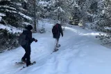 Snowshoeing Adventure in the Rocky Mountains Close to Denver